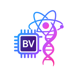 Bay Life Ventures & Holdings LLC
